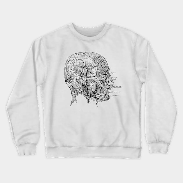 Human Body - Head Crewneck Sweatshirt by be yourself. design